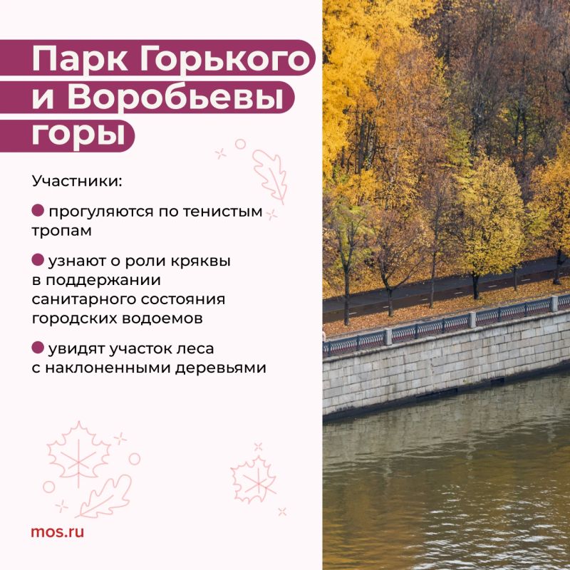 Увидеть плотины бобров, узнать о кряквах и научиться отличать птиц по поведению и строению лап можно на экопрогулках Увидеть плотины бобров, узнать о кряквах и научиться отличать птиц по поведению и строению лап можно на экопрогулках