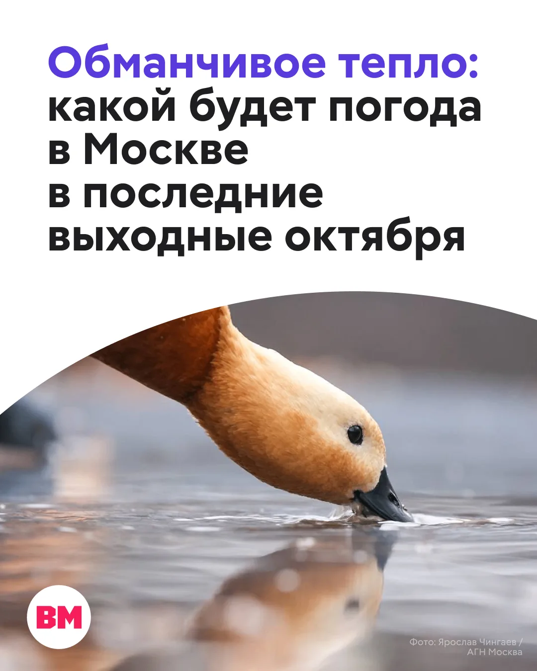 Жителей столичного региона на предстоящих выходных ждет обманчивое тепло