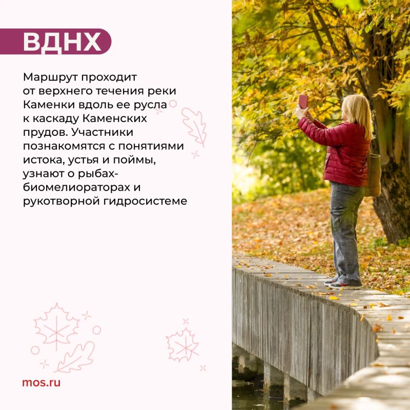 Увидеть плотины бобров, узнать о кряквах и научиться отличать птиц по поведению и строению лап можно на экопрогулках Увидеть плотины бобров, узнать о кряквах и научиться отличать птиц по поведению и строению лап можно на экопрогулках