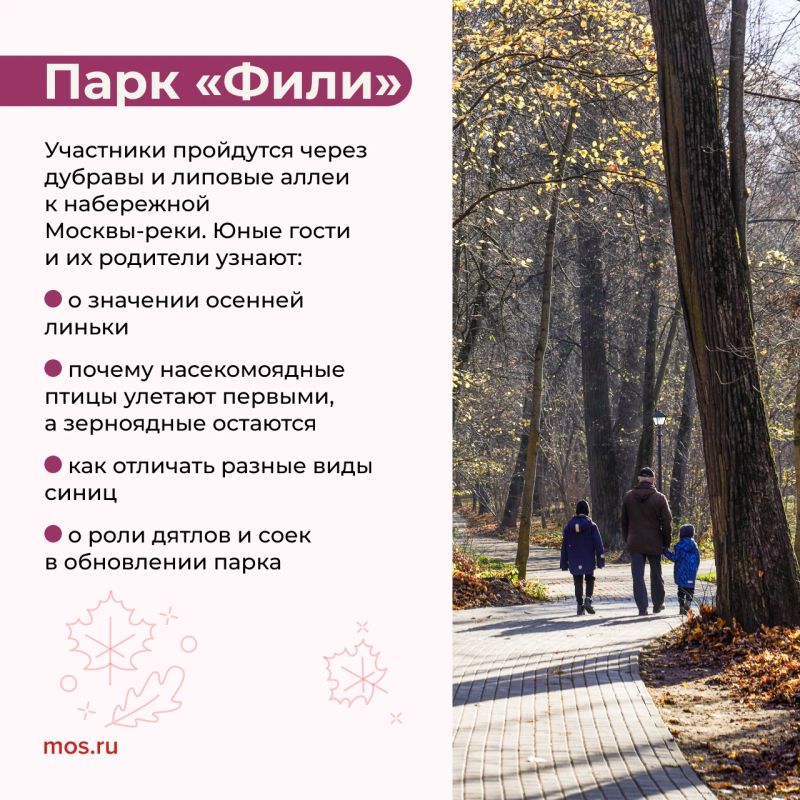Увидеть плотины бобров, узнать о кряквах и научиться отличать птиц по поведению и строению лап можно на экопрогулках Увидеть плотины бобров, узнать о кряквах и научиться отличать птиц по поведению и строению лап можно на экопрогулках