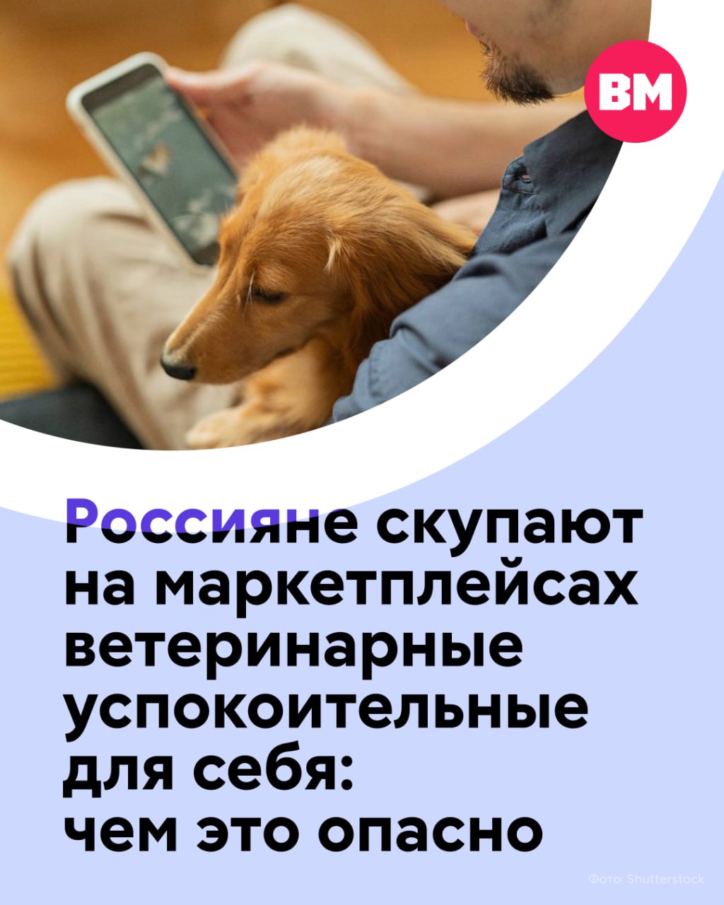 После ужесточения правил продажи успокоительных на основе габапентина россияне начали искать альтернативу — и нашли ее в ветеринарных аналогах на маркетплейсах
