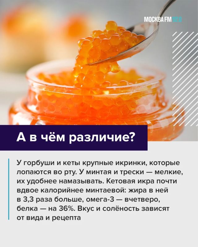 Россиянам посоветовали заменить красную икру белой на Новый год Россиянам посоветовали заменить красную икру белой на Новый год